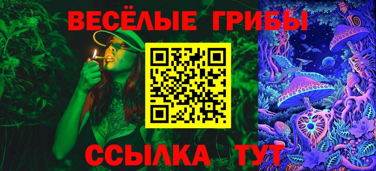 Москва  Псилоцибиновые грибы мицелий  Вход с VPN 